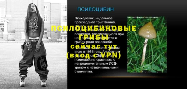 прущий лед Алексеевка