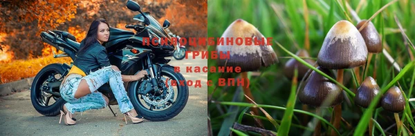 прущий лед Алексеевка