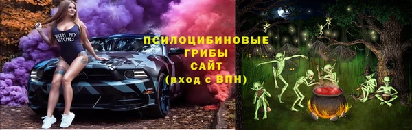 спайс Алексин