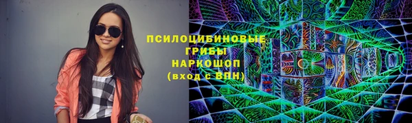 бошки Алзамай