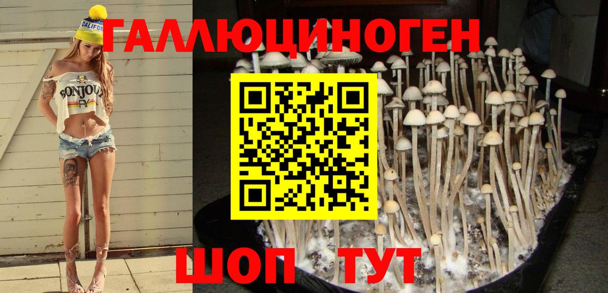 Галлюциногенные грибы мицелий  Вход с VPN  Хасавюрт 