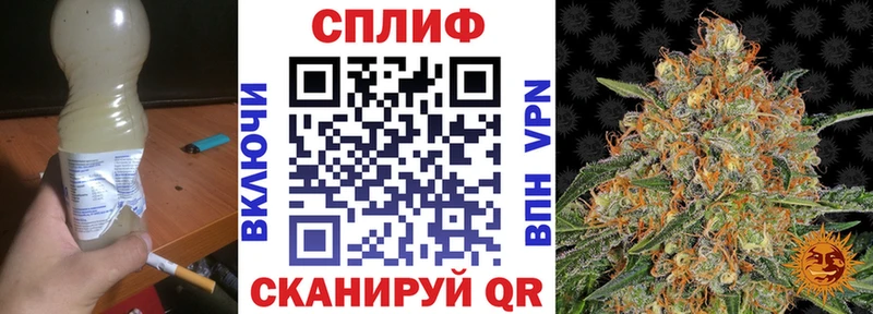 как найти закладки Хасавюрт Марихуана конопля